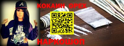 гидропоника Гусев