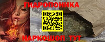 гидропоника Гусев