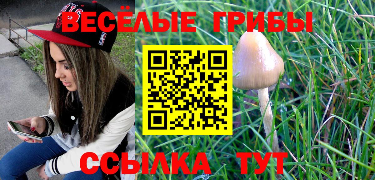 Ярцево  Псилоцибиновые грибы мицелий  Вход с VPN 