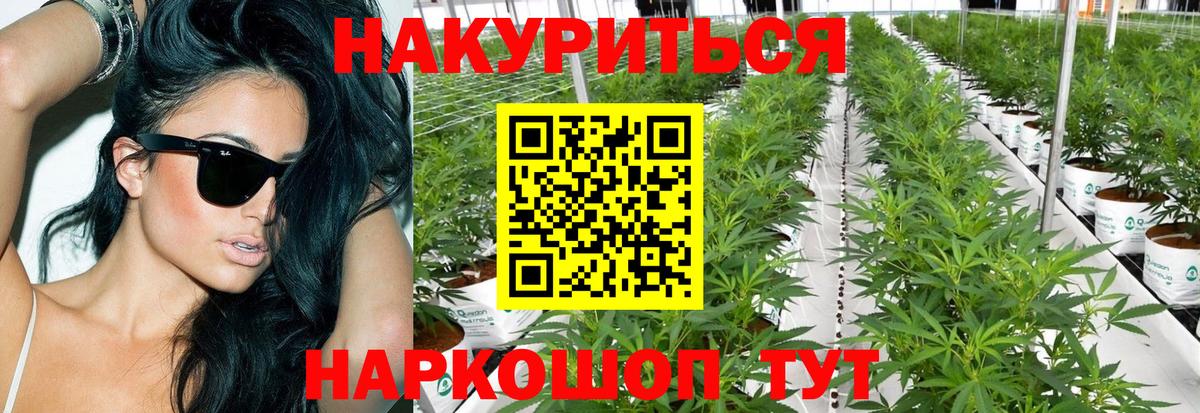 Каннабис AK-47  Вход с VPN  Конопля MAZAR  Ярцево  Каннабис OG Kush  Каннабис SATIVA & INDICA 